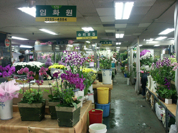 각종 꽃과 화분을 주문.제작해 판매하는 화훼전문상가인 충무로 진양꽃상가 내부.